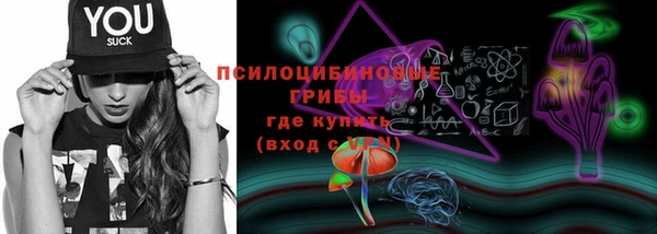 крисы Алексин