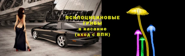 крисы Алексин
